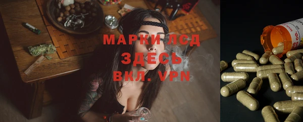 a pvp Абинск