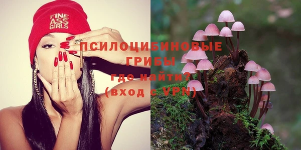 ECSTASY Абаза