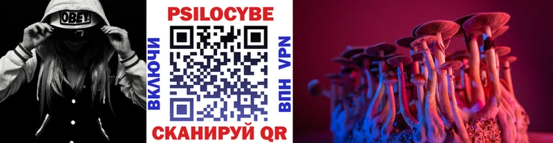 ОМГ ОМГ маркетплейс  Власиха  Псилоцибиновые грибы мухоморы 